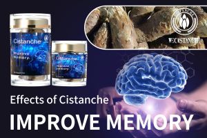 improve memory