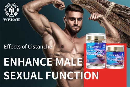 Cistanche tubulosa for improving sexual life Cistanche tubulosa for improving sexual life