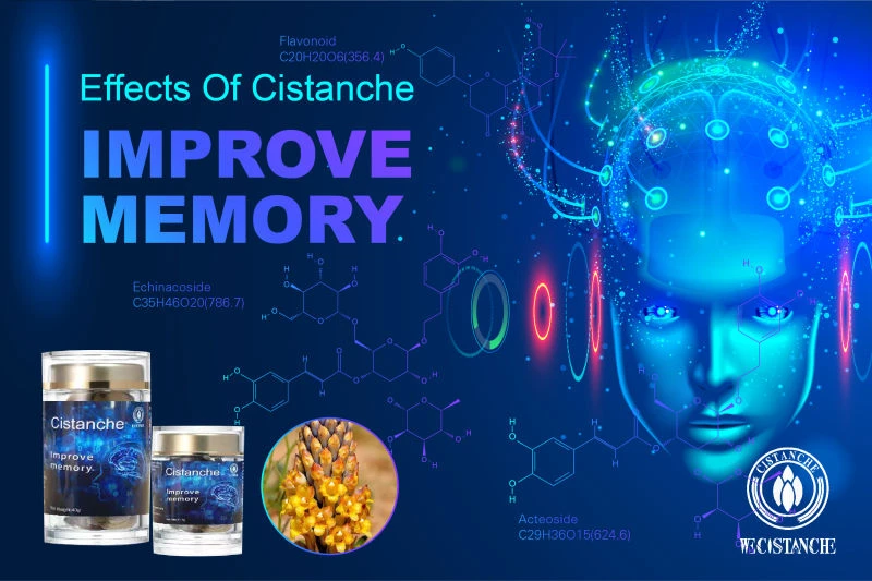 cistanche tubulosa for improving memory