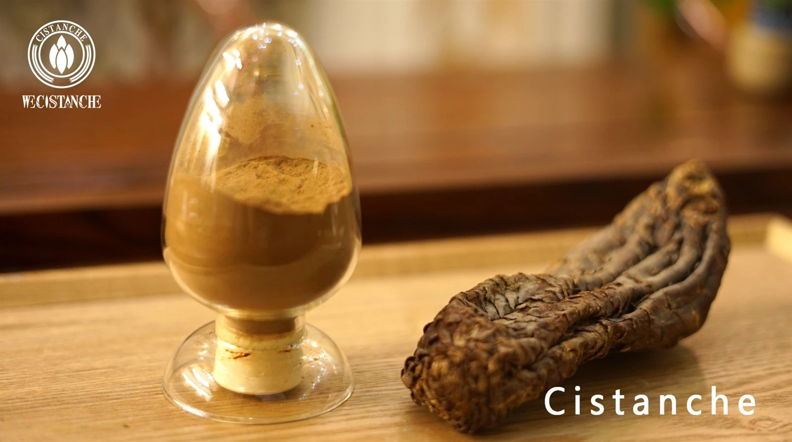 cistanche tubulosa for anti-fatigue and enhancing energy levels