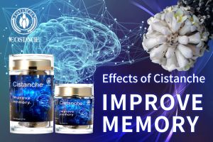 ways to improve brain function