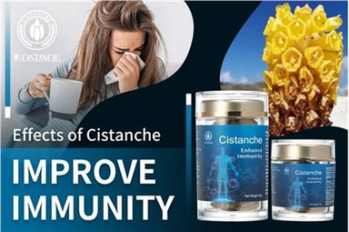 Cistanche Tubulosa Bağışıklık Güçlendirici