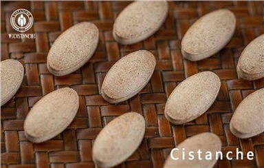 Enhnche Memory Funciton Cistanche Tubulosa Eki