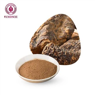 Gıda Sınıfı Cistanche Özü